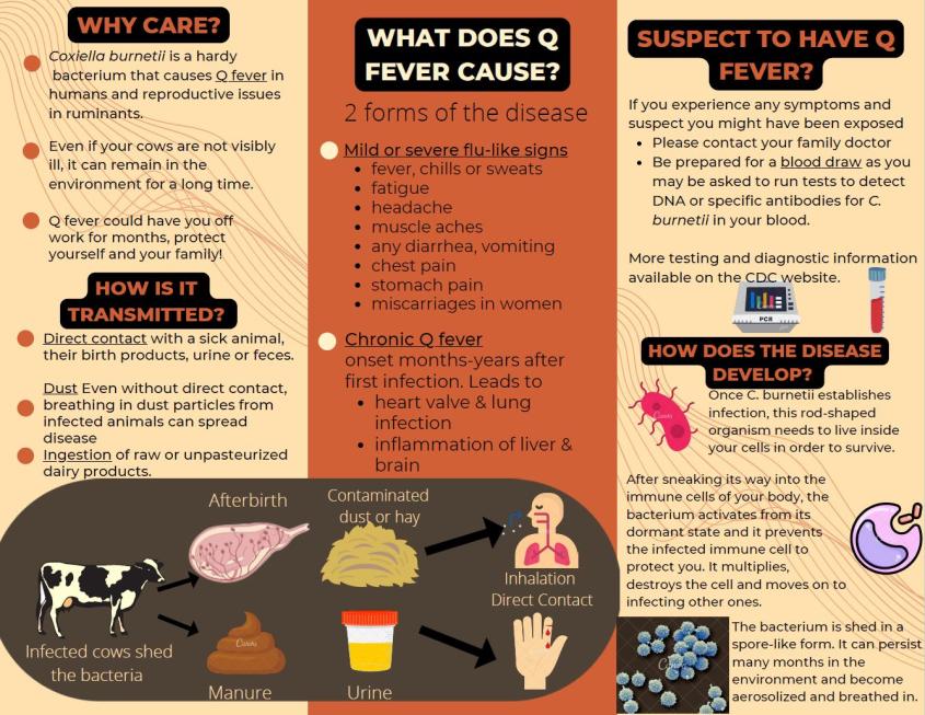 CVM class gets creative for zoonotic disease communication Cornell